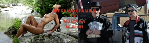 PSILOCYBIN Заволжье