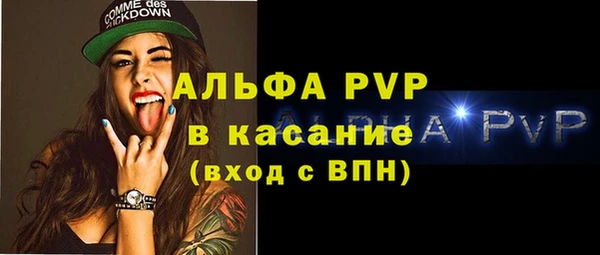 стаф Алексин